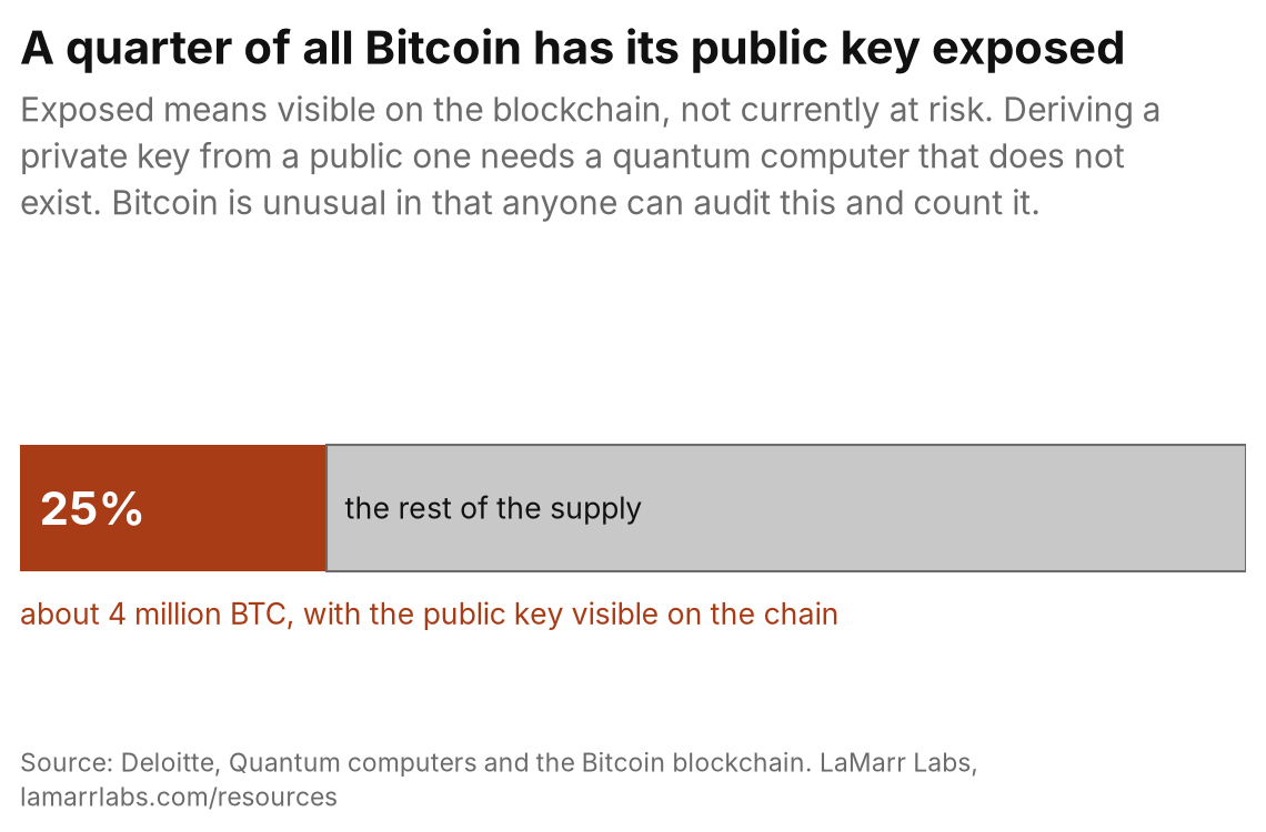 Single bar showing that about 25% of all Bitcoin supply, roughly 4 million BTC, sits in addresses whose public key is visible on the blockchain, against the remaining 75% that does not.
